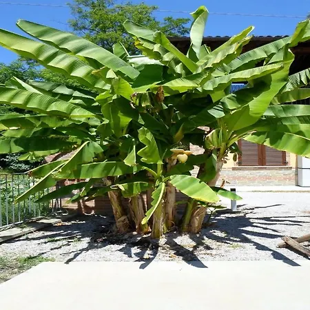 Affittacamere Ca' Del Crutin Bed & Breakfast